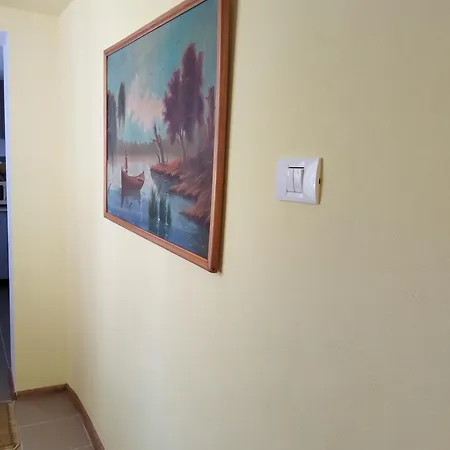 Casa Dorina Temešvár
